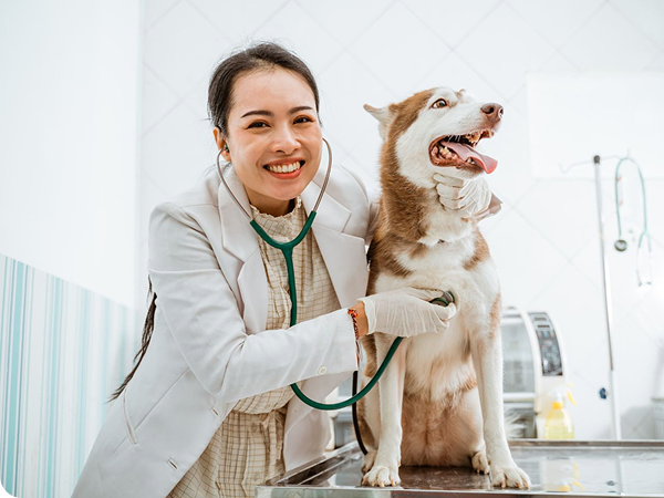 Veterinarian with dog